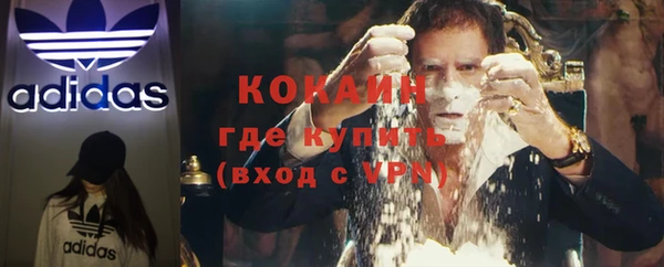 сатива Арсеньев