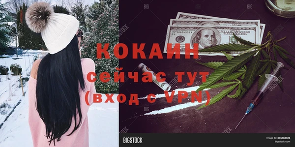 сатива Арсеньев